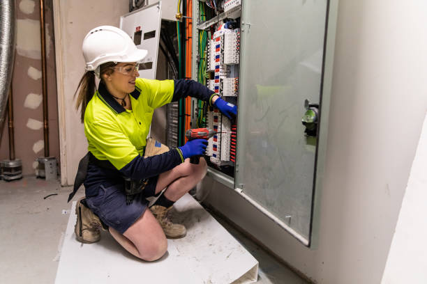 Best Electrical System Inspection  in Idaho Springs, CO